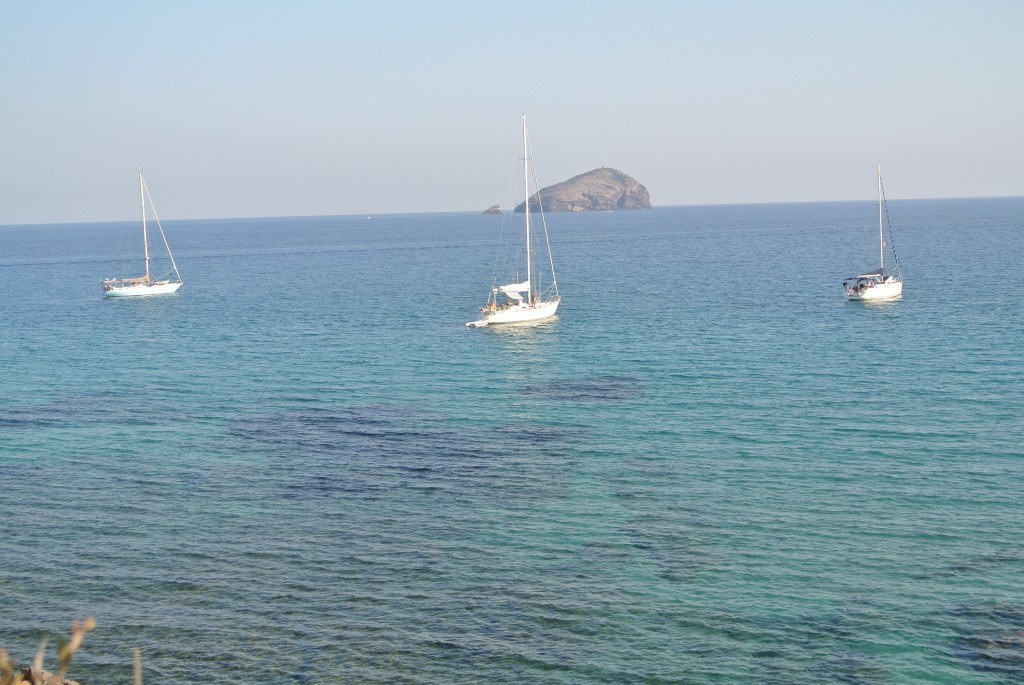 DSC_1441